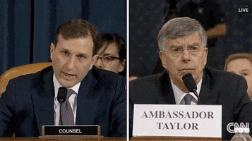 news impeachment impeachment inquiry testimony william taylor GIF