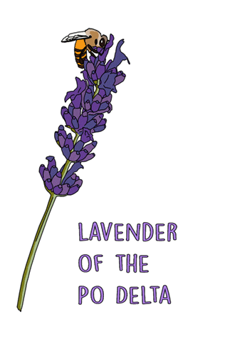 parcodeltapo Sticker