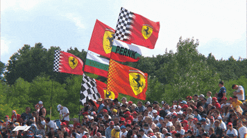 F1 Ferrari GIF by Formula 1