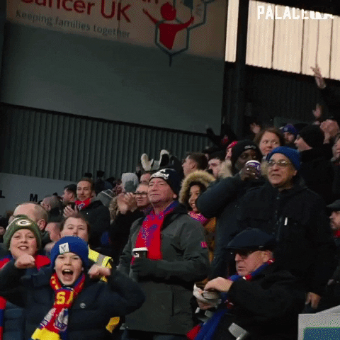Premier League Football GIF by CPFC