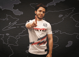 Not Happening No Way GIF by 100 Thieves