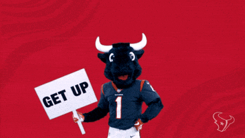 Get Up Nfl GIF by Houston Texans