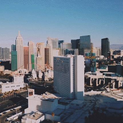 GIF by Anthem Hemp