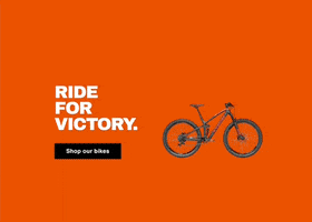Vue Themes GIF