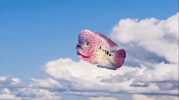 Fish Floating GIF by ROCAFUERTE THE DESTROYER