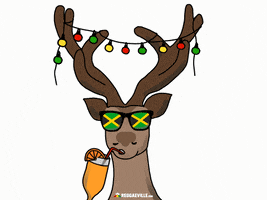 X-Mas Christmas GIF by Reggaeville.com