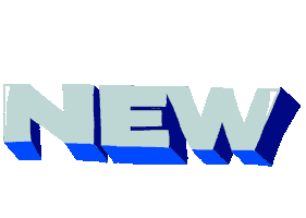 Glitter Sticker by Somestr Studio