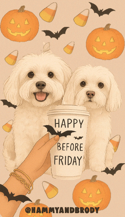 Candy Corn Dog GIF by HammyandBrody