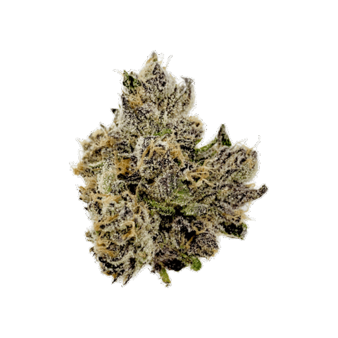 Sticker by Mary y Juana® Beverages Co.