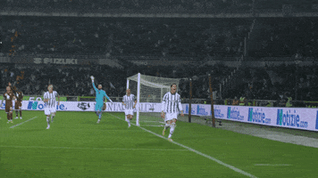 Celebration Jump GIF by JuventusFC