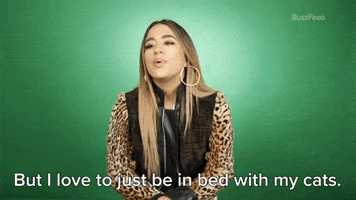 Ally Brooke Cat Person GIF by BuzzFeed