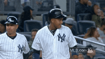 New York Yankees Kiss GIF by MLB