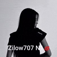 Zilow GIF