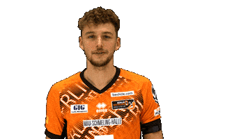 Volleyball Berlin Sticker by BR Volleys