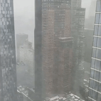 'Snowpocalypse': Central Park Coated in White as Winter Storm Hits New York