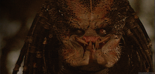 predator