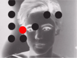 Film GIF