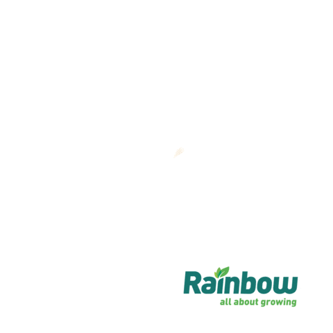Rainbow Soja Sticker by rainbowagrobrasil