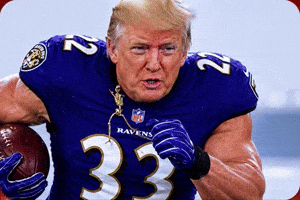 American Snow GIF