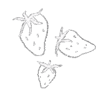 Summer Sticker
