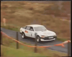 Rally GIF