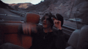 Fox Haynes GIF