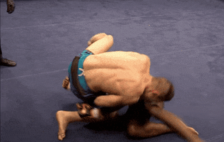 The Soldier Mma GIF by Old School Academy