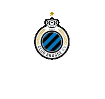 Club Brugge Foundation Sticker