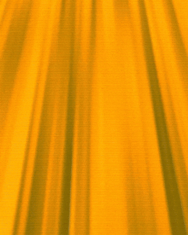 Hot Dog Football GIF by Bijan Mustardson