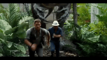 kierrabingham  GIF