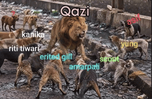 Rockstar Kashmir GIF