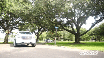 New Orleans Car GIF by Curated Stance Club!