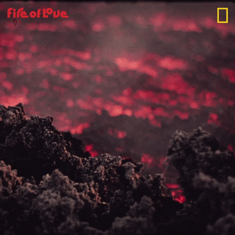 National Geographic Film GIF by Nat Geo Wild