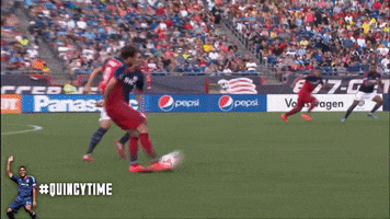Chicago Fire GIF by Perfect Soccer
