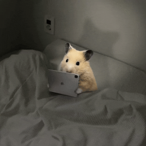 Watch Hamster GIF