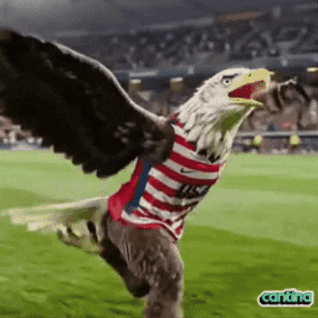United States Soccer GIF by Cantina