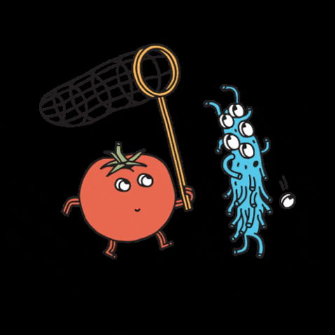 Frufru GIF