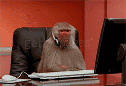 [Image: giphy.gif?cid=ecf05e4754cce43c73f029b304...=giphy.gif]