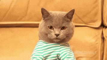 harriotshand  GIF