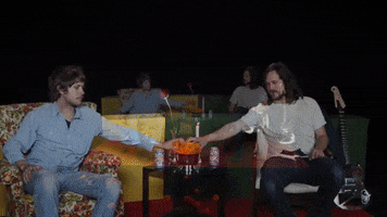 jeff the brotherhood flowers GIF by Infinity Cat Recordings