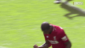 celebrate football player GIF by Liverpool FC