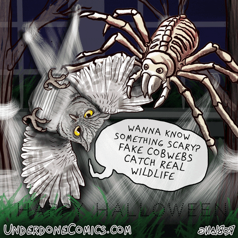 Endangered Species Halloween GIF by Underdone Comics