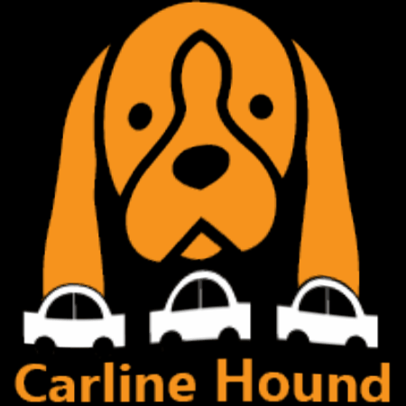 Car Rider GIF