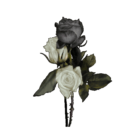 Flower Rose Sticker