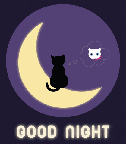 Miss U Good Night GIF by Babybluecat - Find & Share on GIPHY
