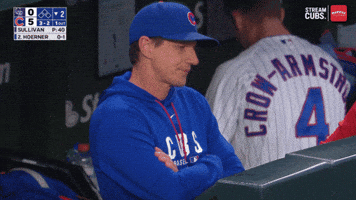 Chicago Cubs Baseball GIF