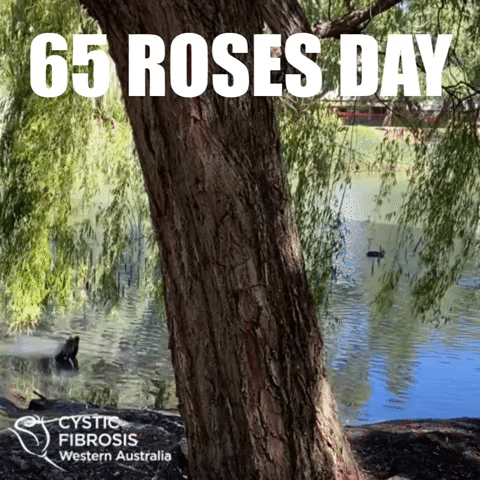 Western Australia Rose GIF by Cystic Fibrosis WA