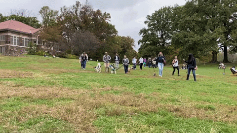 Dogs Nyc GIF by FosterDogs