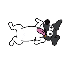 Japanese Terrier Dog Sticker