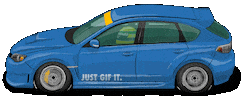 Car Racing Sticker by kneapolitan